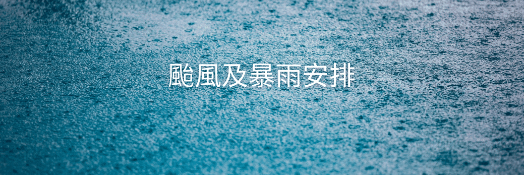 颱風及暴雨安排